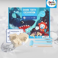 신기한 고대화석 발굴체험 화석키트 DIY 세트 실험교구 과학교실 학교 과학, 1개, 상세페이지참조