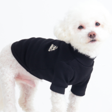 독스랩 강아지 옷 폴라티 골지 티셔츠 겨울옷 실내복, 1개, 블랙