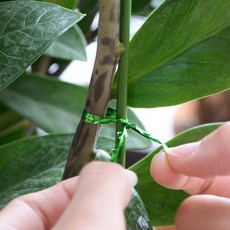 식물 가정용 고추지주대 50, 1개