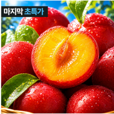 [산지선별] 꿀당도brix 대석 제철 자두, 1개, 1kg