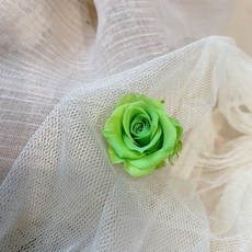 大地農園 永生玫瑰 永生花 永生花材 藍綠色系 捧花/新秘/母親節花禮/求婚花束, 7-蒼綠,實品以實物為準、無法每朵都與圖相同。