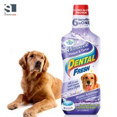 입냄새 강아지 물희석 치석제거 먹는치약 반려묘 양치훈련 소형견 구강청결, 503ml