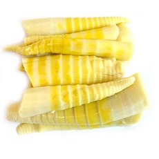 거제도 무농약 삶은죽순 /2026년햇죽순, 1kg, 1박스