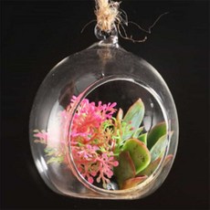 모어 테라리움용기 5p 아크릴구, 10cm