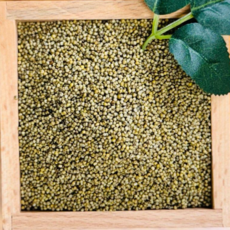 영원농산 25년산 중국산 수입 차조 좁쌀 청차조, 5kg, 1개, 5kg