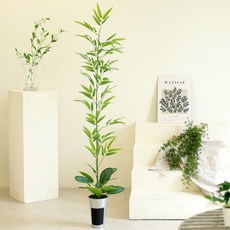 인테리어 인조대나무 조화나무 화분 파티션 가림막 대나무 세트, 1개, 칼라데아 오르비폴리아