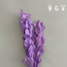 花藝夢*不凋玉竹葉 整把販售 單色 漸變玉竹葉 永生花 乾燥花 不凋花 現貨, 薰衣草