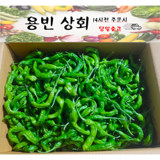 ( 용빈 상회) 국내산 꽈리고추 못난이 상등급 1kg 2kg 4kg내외, 1박스