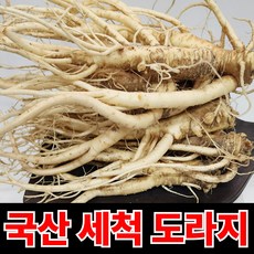 [단하루특가 국산 도라지 세척도라지, 1박스, 1kg_실속
