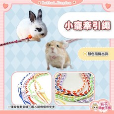 花花萌寵王國 小寵牽引繩 適用倉鼠、兔子、松鼠、刺蝟、熊鼠, 1個, 小寵牽引繩｜顏色隨機出貨