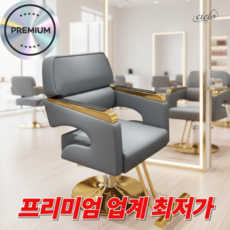 시엘로 미용실 의자 살롱 메이크업 회전 높이조절 스텐 받침대 체어, 1개, 04.그레이블루 골드프레임