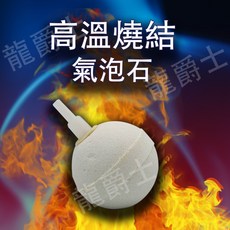 LE-圓球氣石（大）直徑5Cm 高溫燒製 可清洗 水族, 詳見包裝