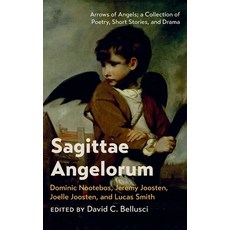 (영문도서) Sagittae Angelorum Hardcover, Resource Publications (CA), English, 9781666780642