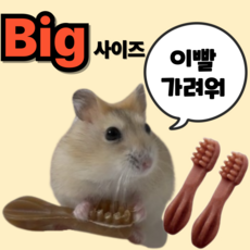 (BEST) 햄스터 이갈이 덴탈츄 칫솔 이갈이 간식 XS 핑크, 2개