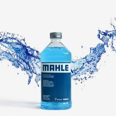 MAHLE 말레 아인스타 에탄올 워셔액 2리터 청포도향, 2L, 1개