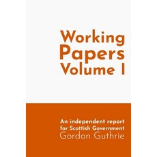 (영문도서) Working Papers Vol 1: Foundations of the Digital State Paperback, Digital Policy, English, 9781068545139