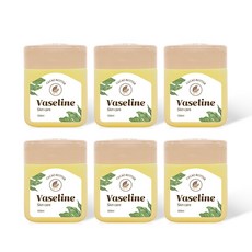 바세린 오리지널 스킨 젤리 카카오버터, 100ml, 6개