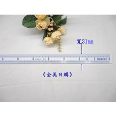壓克力60公分直尺 縫紉拼布材料 台灣製造, 1個