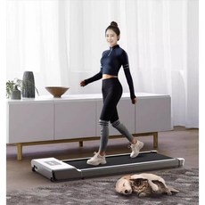 플랫 러닝 머신 홈트 스마트 접이식 워커 걷는 기계 피트니스 새로운 워킹패드, B. 플래그십