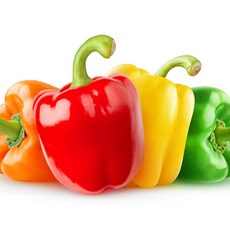 두리네 농산물 못생겨도 맛있는 파프리카, 1박스, 2kg