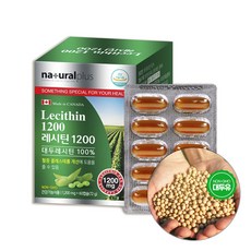 네추럴플 레시틴 1200 인지질 영양 60캡슐, 60회분, 1세트