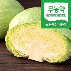 (자연마을) 국산 무농약 양배추 1kg 3kg, 1박스