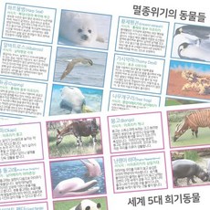 멸종위기의 동물 12인, 1개