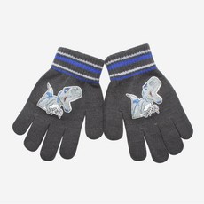 體溫魔術師丨MIT台灣製 兒童恐龍保暖全指手套 條紋設計4-8歲冬季手套