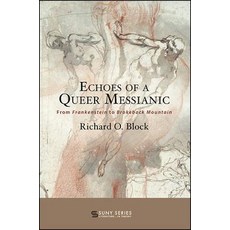 Echoes of a Queer Messianic Paperback, State University of New Yor..., English, 9781438469546