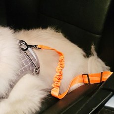 강아지안전벨트 반려견카시트 오렌지 66423EA 1(ea), 1개