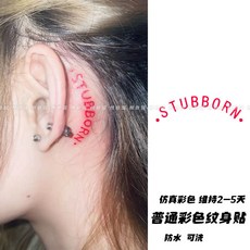 個性英文短句彩色紋身貼紙 歐美式防水持久耳後彩繪, 1個, 固執的  5張,彩色紋身貼（可保持2-7天）