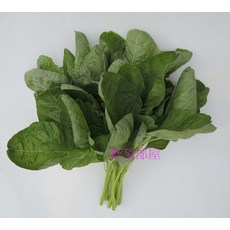【野菜部屋】A10 群峰特青莧菜種子13公克 (約18000粒) 耐熱品種 葉色深綠 莖葉柔嫩~, 1包