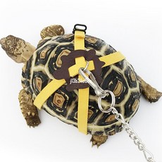 寵物烏龜繩 陸龜牽引繩 外出飛翼繩, 淺綠色,小號標配, 1個