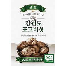 GAP인증 국내산 강원도 생표고버섯 당일수확 산지직송 상품 특품 가정용, 1박스, 상(등)품 1kg