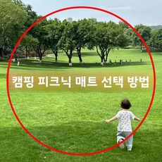 네이처하이크 캠프사이트 5.8 고R값 초경량 인플레이터블 에어 쿠션 야외 휴대용 캠핑 텐트 싱글 방습, 02 500G