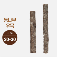 수아쿠아 통나무 유목 S M 사이즈, 1개