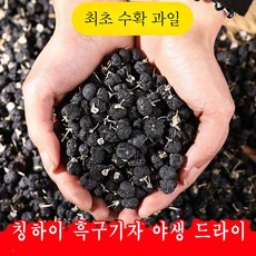 자연산 흑구기자 중국 야생 블랙구기자 JK1, 2개