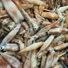 자연산 생물 급냉 총알한치 1kg(30~50미 내외), 1개, 총알한치 1kg(500g*2팩)