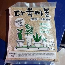 늘셋 동광 다육이볼 2.5L 스투키 선인장 과습방지 무름병방지 소립 중립 대립, 3mm 중립