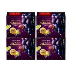 프리미엄 가나 쇼콜라 거봉 초콜릿, 4개, 65g