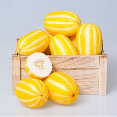 참외 5kg(1130과), 1개, 5kg