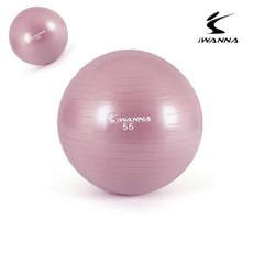 안티버스트 짐볼 55cm 와일드 핑크 짐볼55cm 짐볼55 찜볼 스트레칭볼