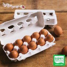 하늘과계란 동물복지인증 유정란 20알, 단품, 2개