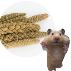 햄스터 스프레이 밀렛 앵무새 간식 자연 간식, 1개, 30g