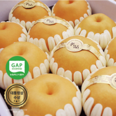 GAP인증 나주배 대통령상수상 명품 나주배 선물세트 이중포장 프리미엄급, 5kg(8~9과)