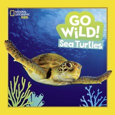 Go Wild! 바다거북