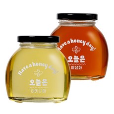 [오늘은 꿀] 선물세트 아카시아+야생화 100% 국산 숙성꿀, 3세트, 400g