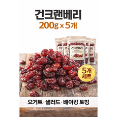 건크랜베리 말린 크랜베리 건조 과일 견과 베이킹 요거트 토핑, 5개, 200g