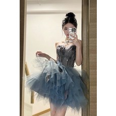 발레 무용 메쉬 학생 성인발레복 대회 연습 경연 체조