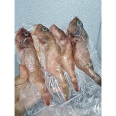 매운탕용 통쏨뱅이 3-5마리 (500g) 식당용 적어 업소용 솜팽이 빨간 우럭